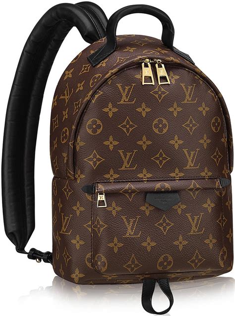 louis vuitton backpack for school.